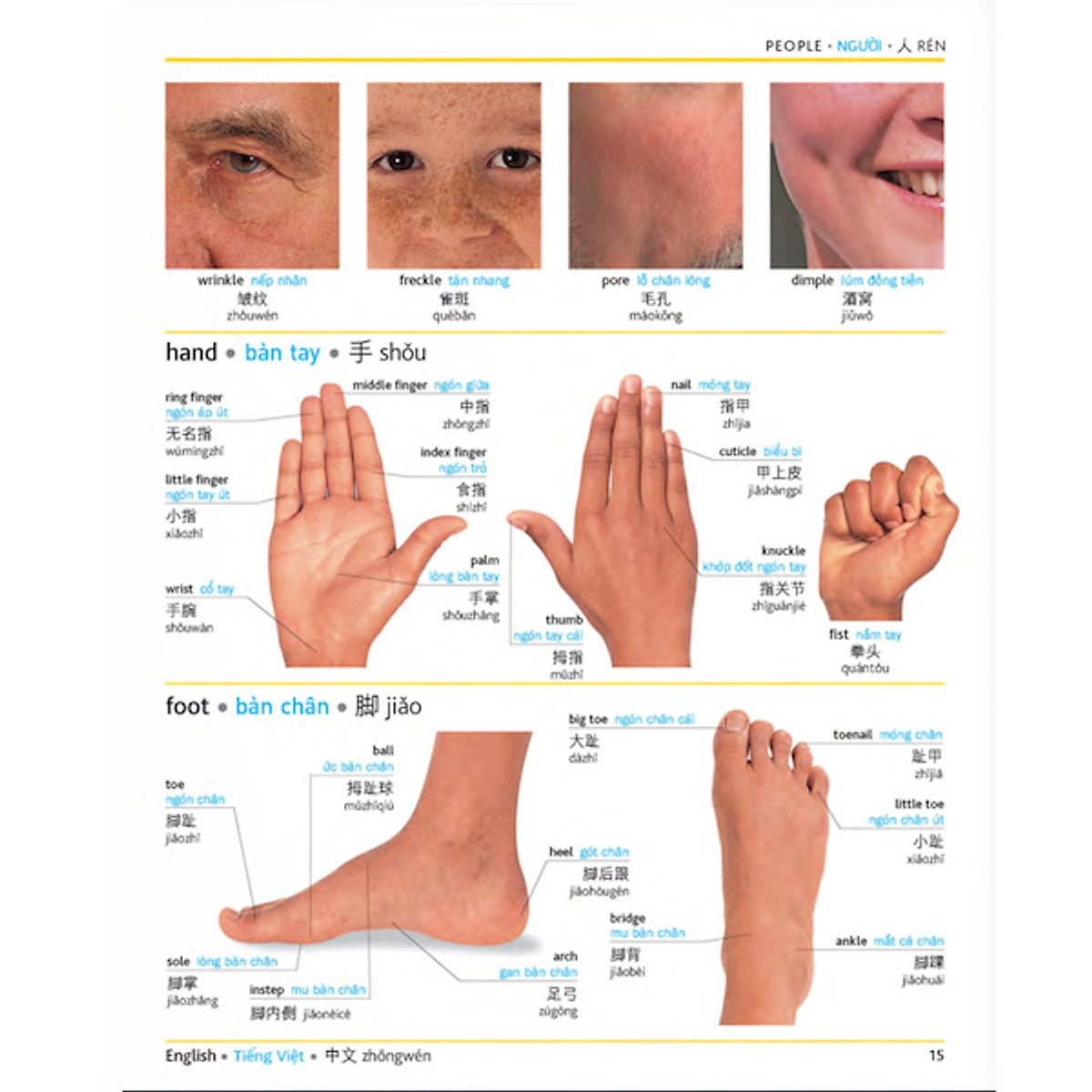 Từ điển hình ảnh Tam Ngữ Trung Anh Việt Visual English Vietnamese