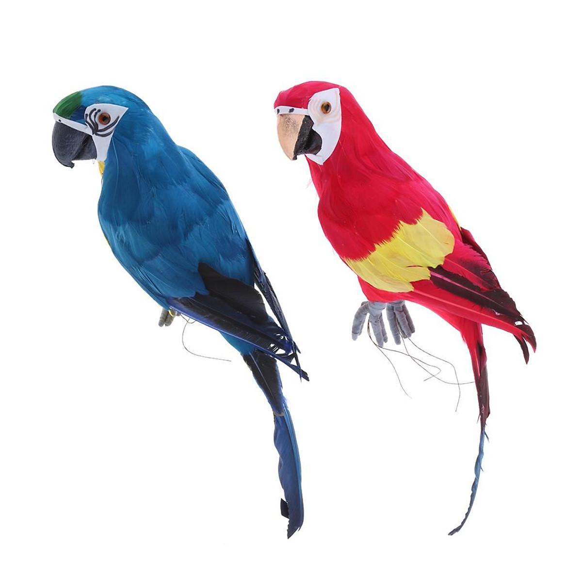 Chia sẻ 52 về hình vẽ chim vẹt mới nhất  cdgdbentreeduvn