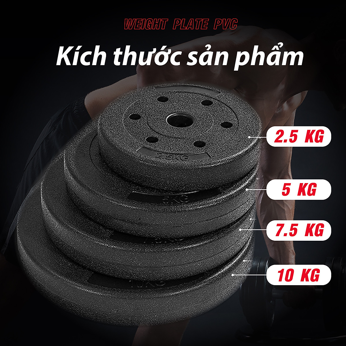BG Bánh Tạ Nhựa 1.25kg - 20KG Đặc Ruột - Sẵn Kho Giao Liền - Tạ Miếng Nhựa