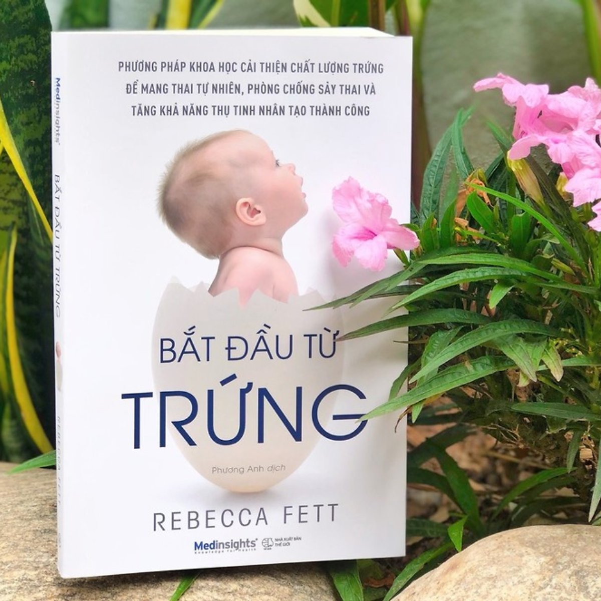 Bắt Đầu Từ Trứng