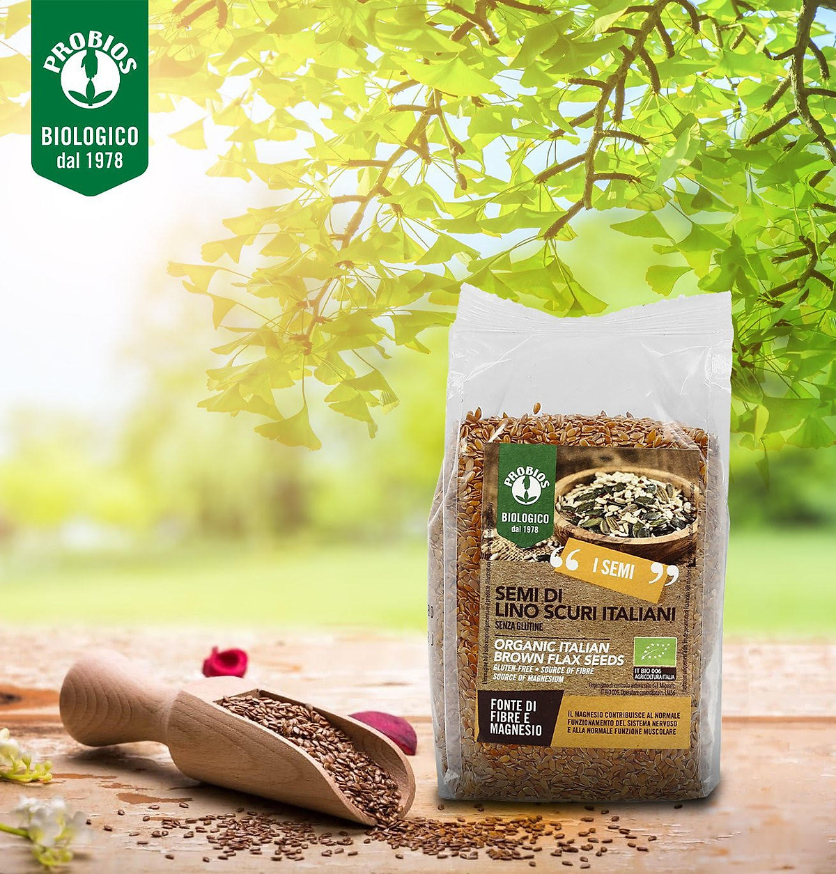 Hạt Lanh Nâu Hữu Cơ 500g ProBios Organic Italian Brown Flax Seeds