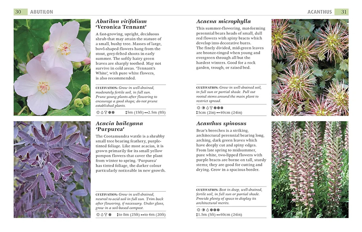 RHS Good Plant Guide