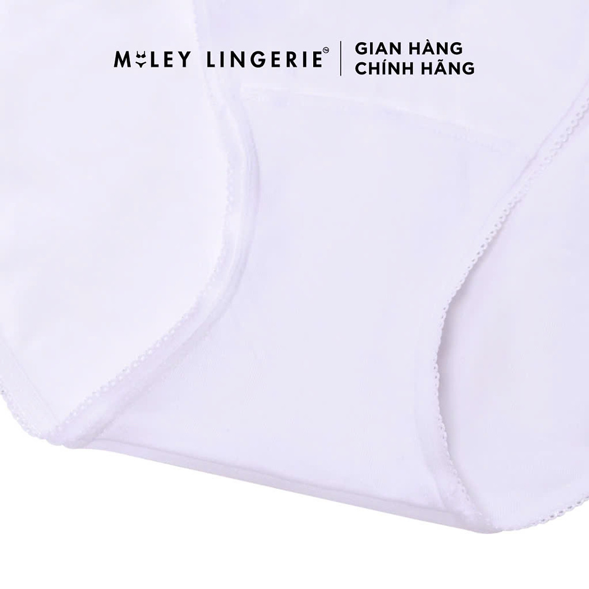 Combo 5 Quần Lót Thun Lạnh Trơn 4 Chiều Mềm Mịn Thoáng Khí MILEY LINGERIE