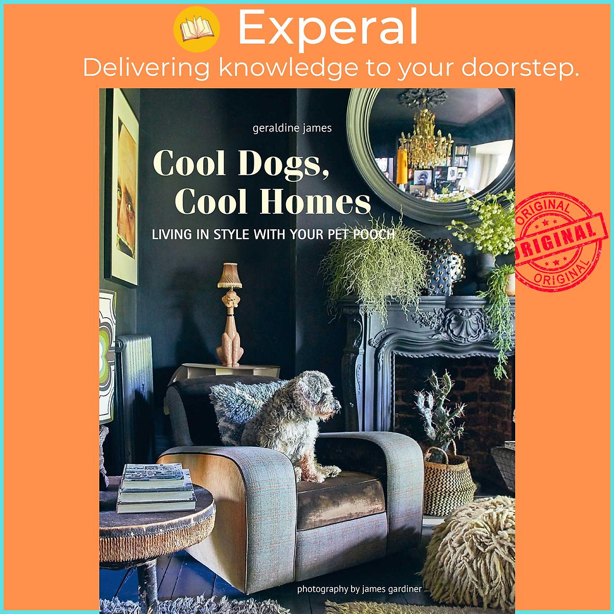 Sách - Cool Dogs, Cool Homes - Living in style with your pe by Geraldine James (US edition, Hardcover Paper over boards)