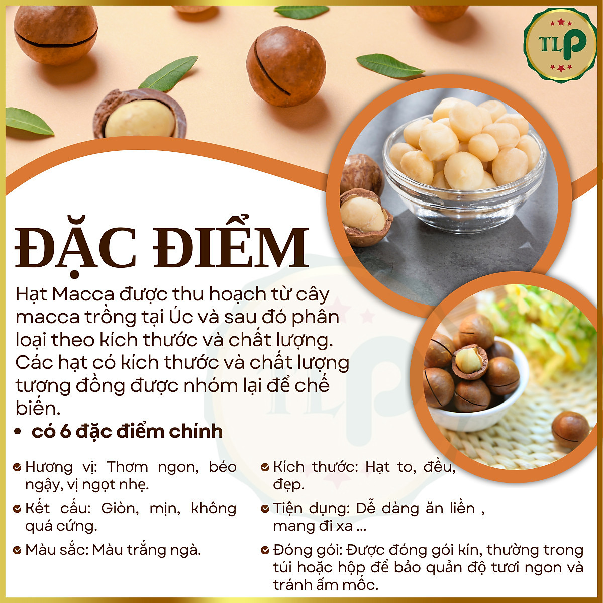 HẠT MACCA NỨT VỎ CAO CẤP TÂN LỘC PHÁT