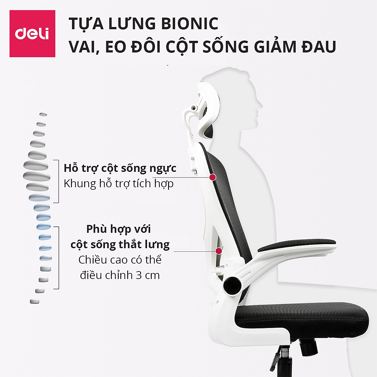 Ghế Xoay Văn Phòng Lưới Làm Việc Công Thái Học Deli - Tay Gập Thông Minh, Có Chỉnh Lưng, Lưới Thoáng Khí, Chân Xoay Tiện Ích, Đệm Ghế Êm Aí, Nhiều Màu - Phù Hợp Học Sinh, Văn Phòng, Game Thủ, Gaming - Hàng chính hãng