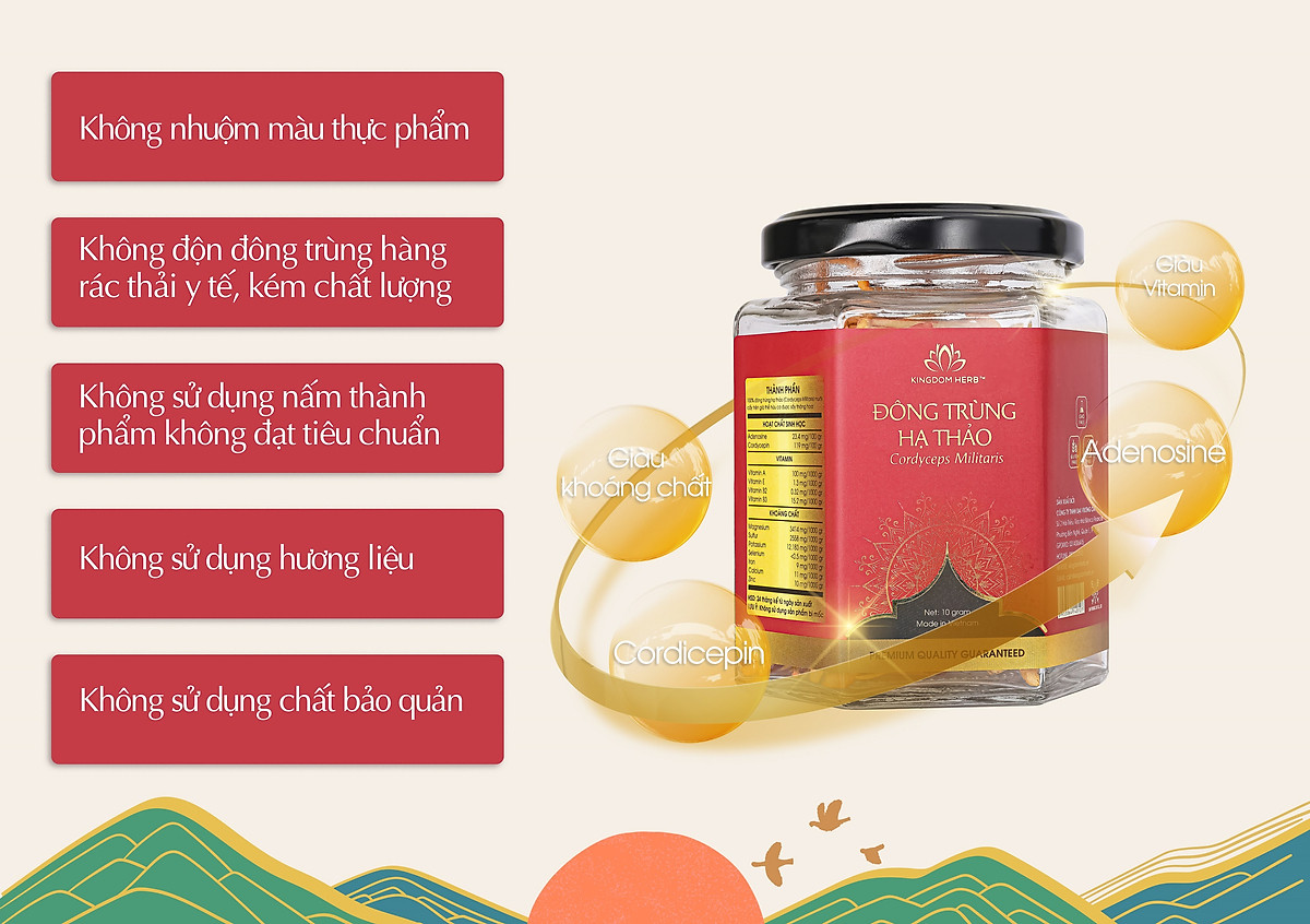 Đông trùng hạ thảo Kingdom Herb chính hãng loại thượng hạng sấy thăng hoa hộp 10 gram (tặng bình nước thủy tinh cao cấp)
