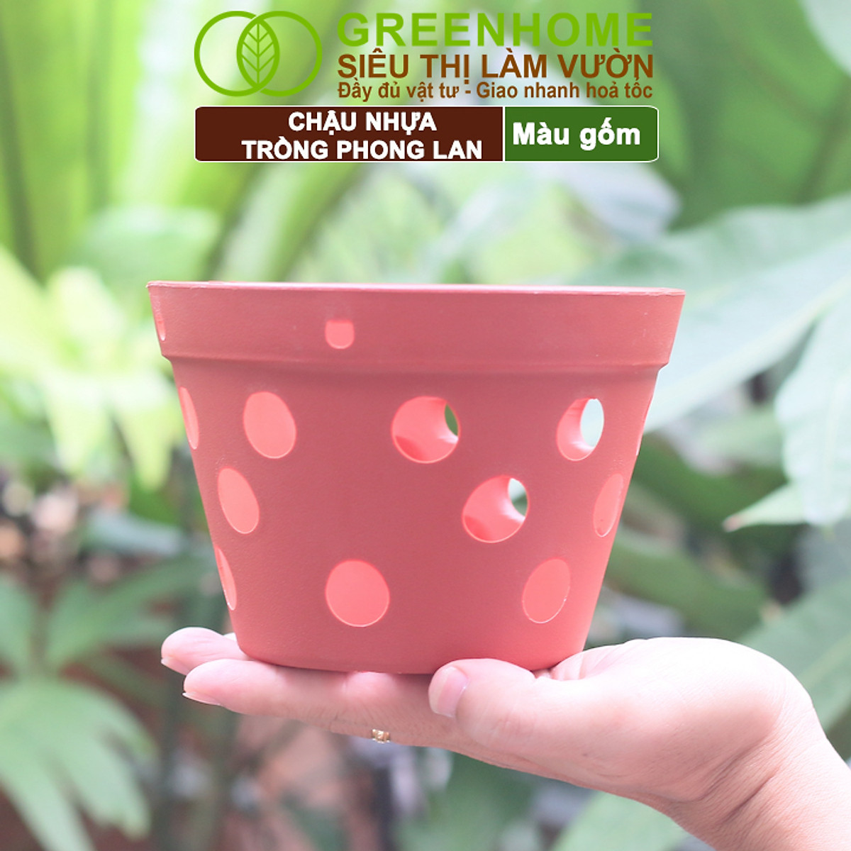 Chậu Trồng Lan Greenhome, R15xC10cm, Nhựa Màu Gốm, Bền, Đẹp, Chống Rơi Vỡ, Thoáng Rễ, Giá Thành Tốt