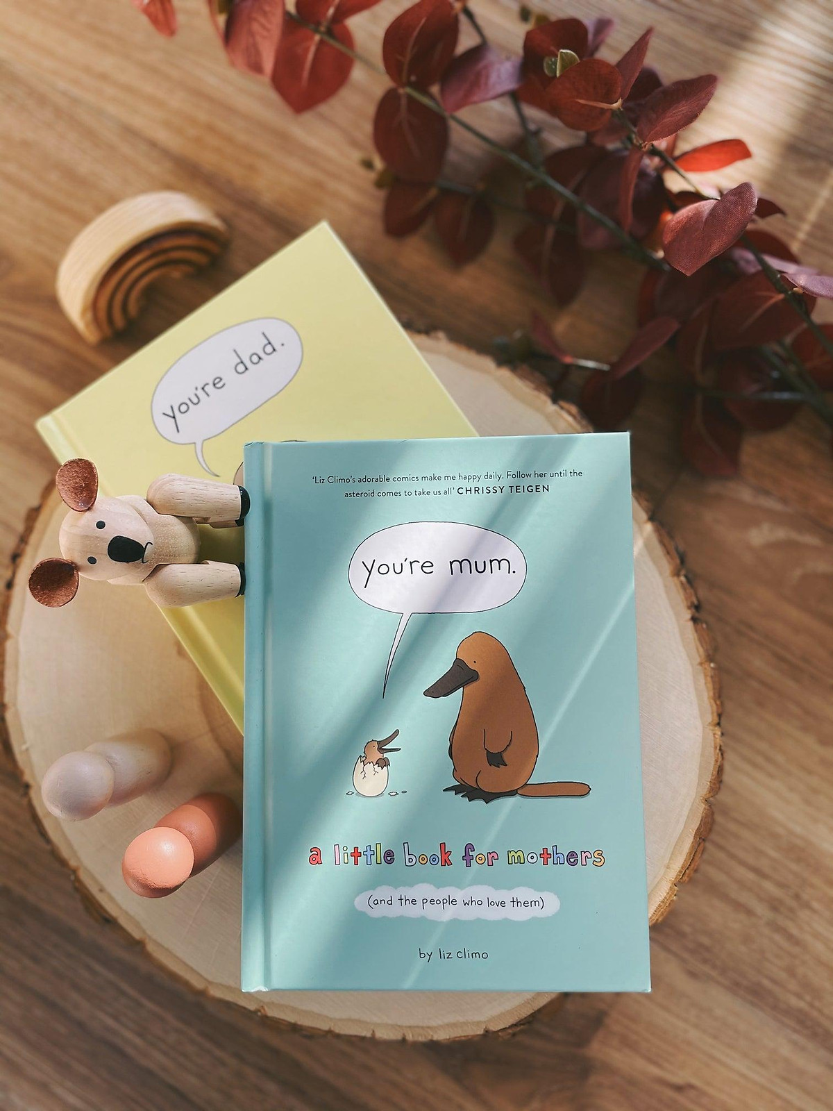 You're Mum : A Little Book for Mothers (and the People Who Love Them)