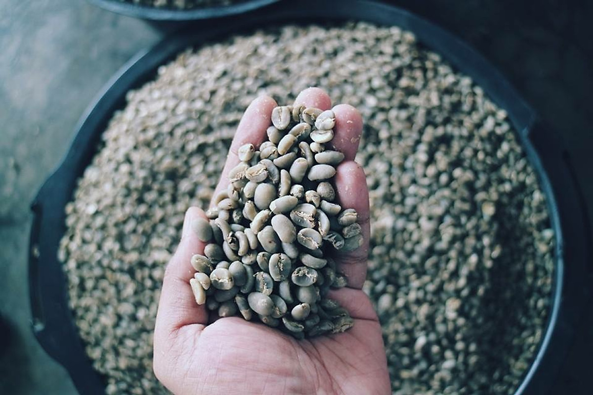 Cà phê hạt 100% nguyên chất truyền thống số 2 Coffee Tree 1kg đậm đà, thơm ngon, gu vừa