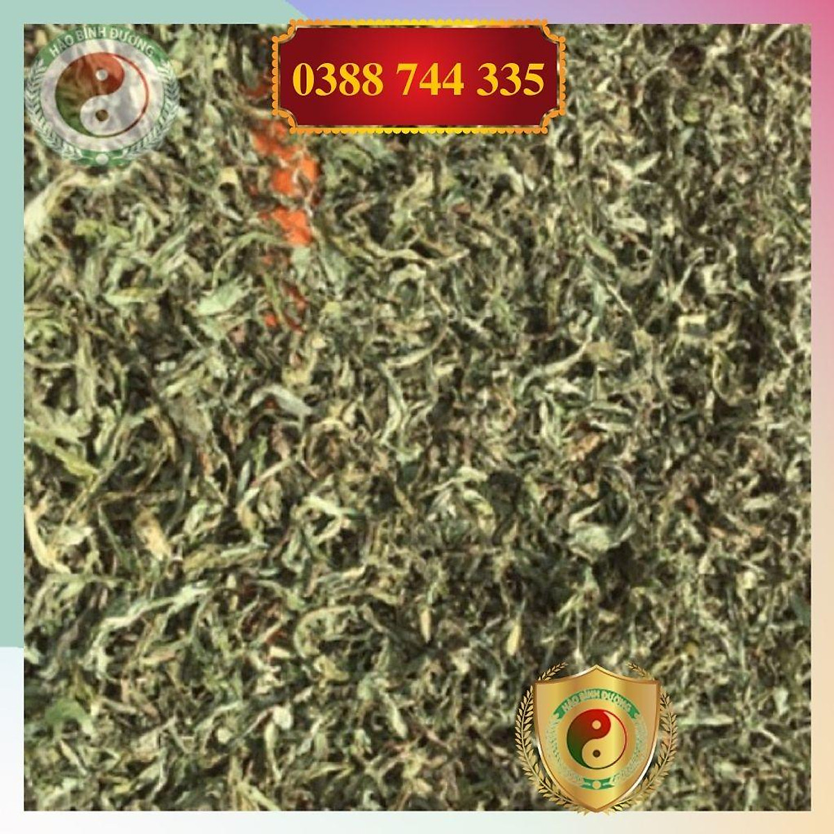 1kg Lá Cây Bồ Công Anh khô