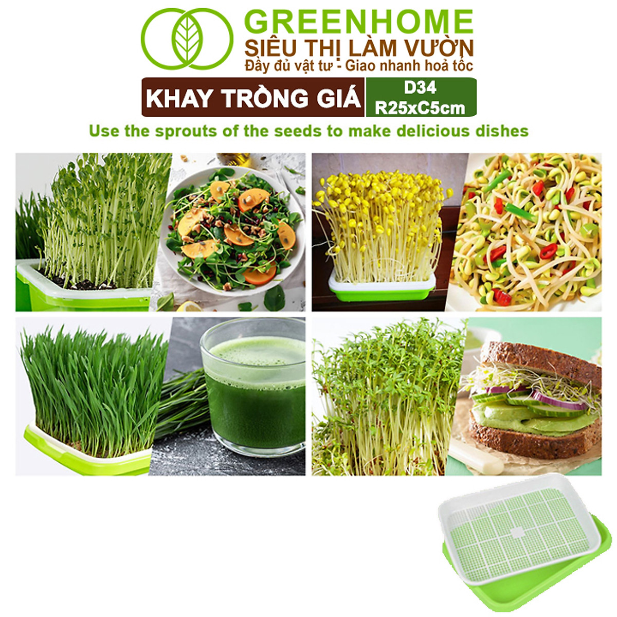 Khay Trồng Rau Greenhome, D34xR25xC5cm, Nhựa Nguyên Sinh, An Toàn, Chuyên Trồng Giá, Rau Mầm Tại Nhà, Không Cần Đất