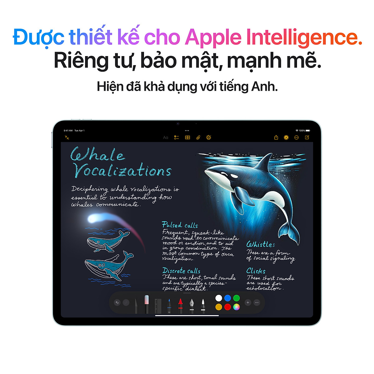 Apple iPad Air M3 11-Inch Wi-Fi +Cellular