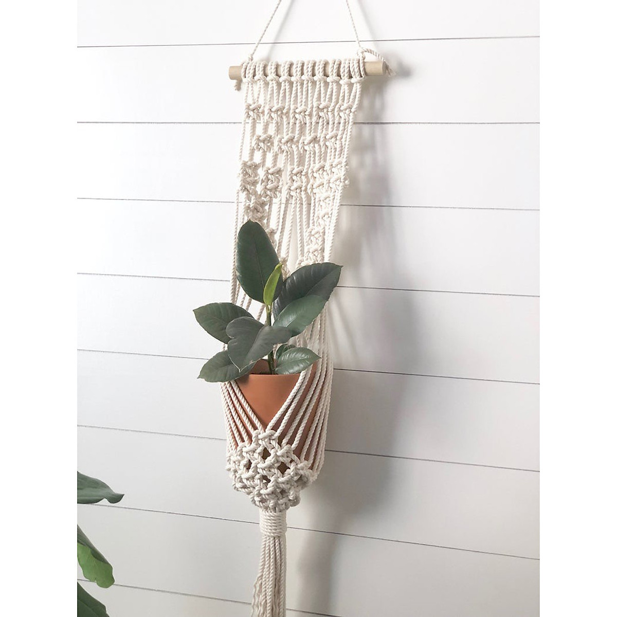 Dây Macrame treo tường trang trí chậu cây, lọ hoa tết hình trái ...