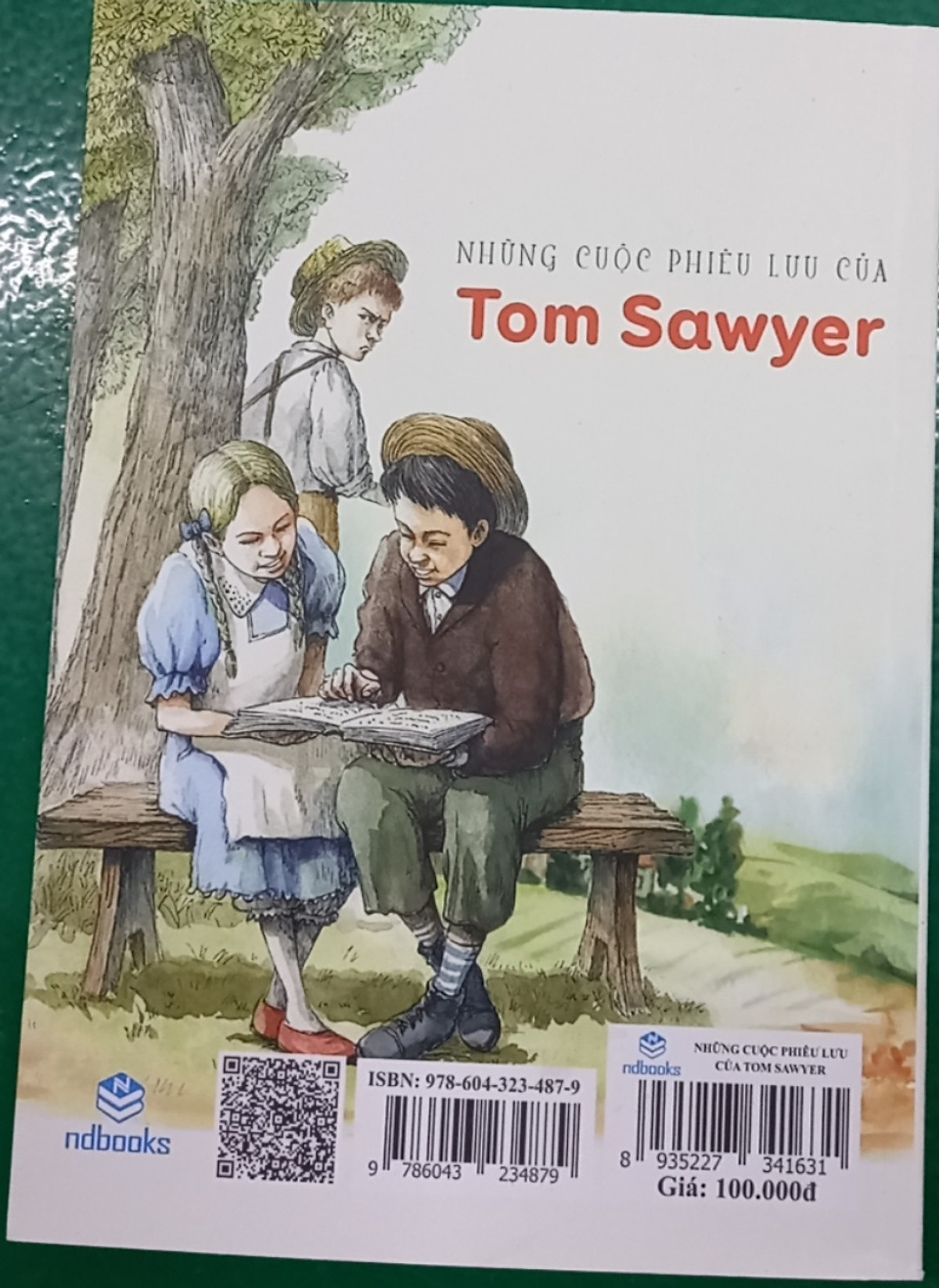 NDB - Những cuộc phiêu lưu của Tom Sawyer