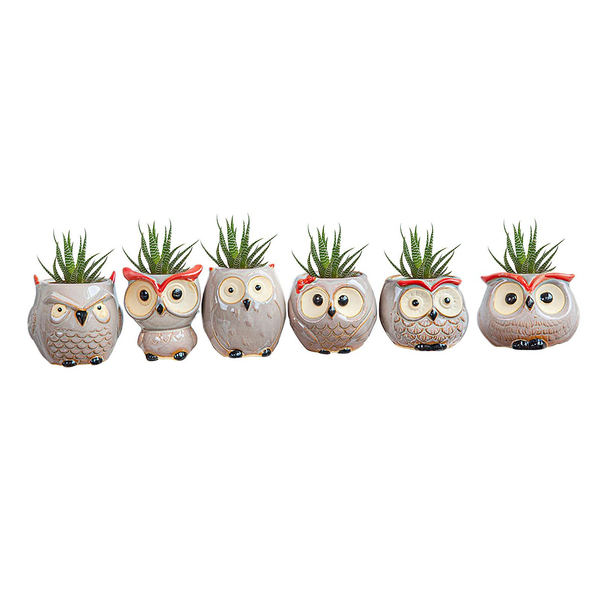 Mua Owl Ceramic Succulent Planter Pots, Pack of 6 Owl Flower Pots, Cactus  Plant Pot Flower Pot Container Bonsai Pots for Home Office Garden  Decoration tại Magideal
