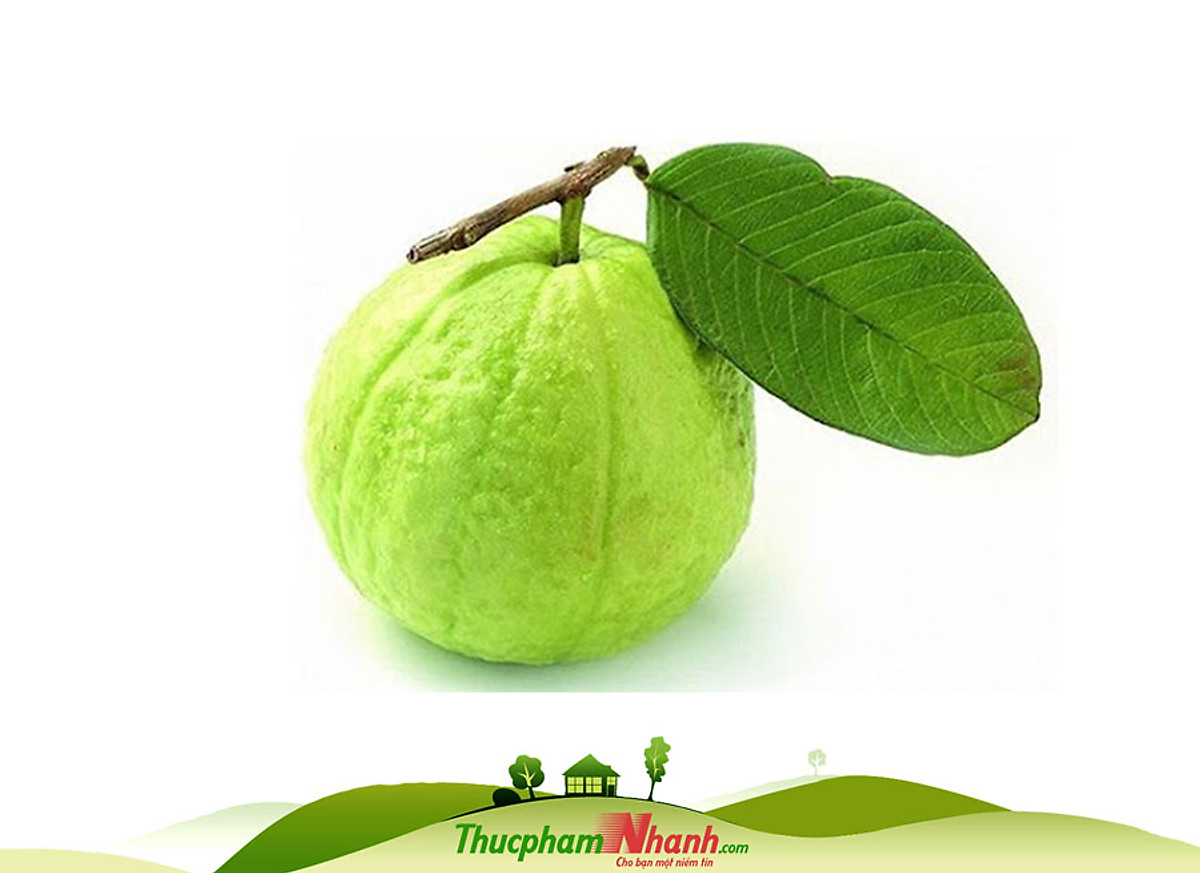 Chỉ Giao HCM] - Trái ổi - 1kg - Trái Cây Nội Địa