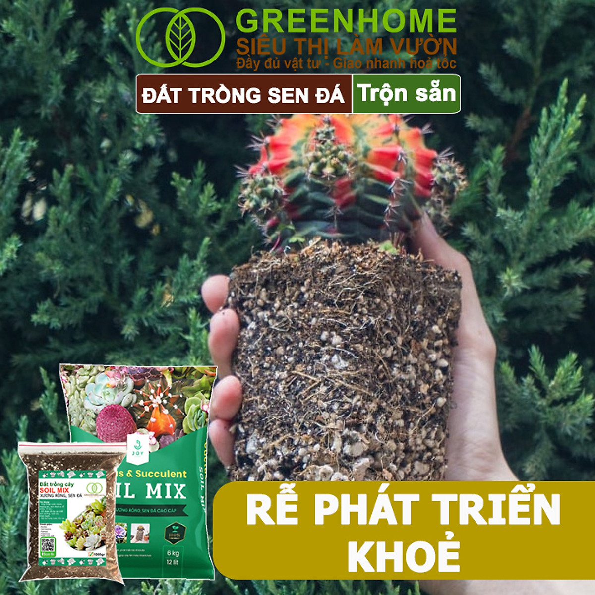 Đất Trồng Sen Đá Greenhome, Soil Mix, Bao 6kg, Trộn Sẵn, 85% Đá Khoáng, Phát Rễ Nhanh, Lên Màu Nhanh, Thoát Nước Tốt