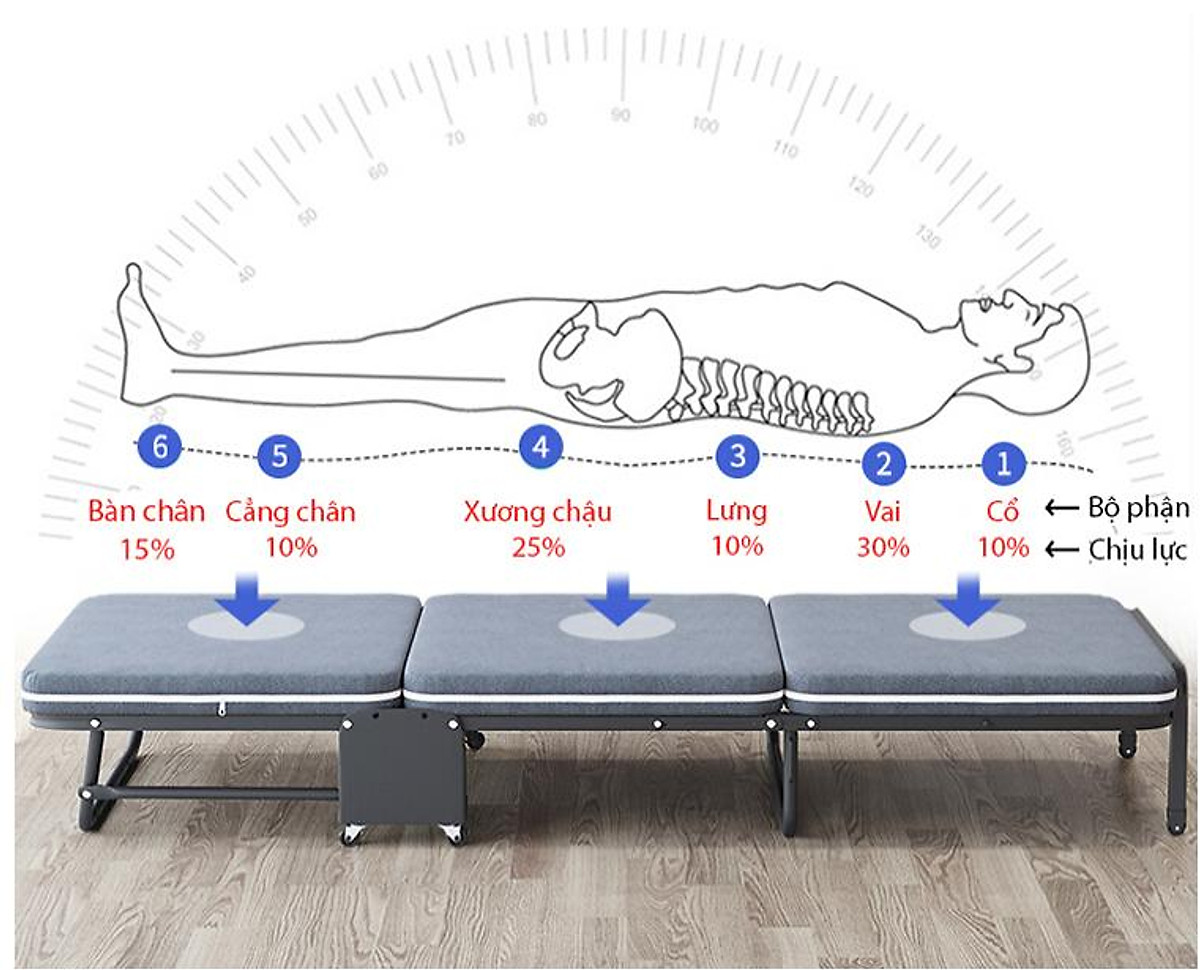 Giường gấp đa năng gấp gọn NIKITA, khung thép sơn tĩnh điện, xếp gọn thành ghế sofa, có bánh xe
