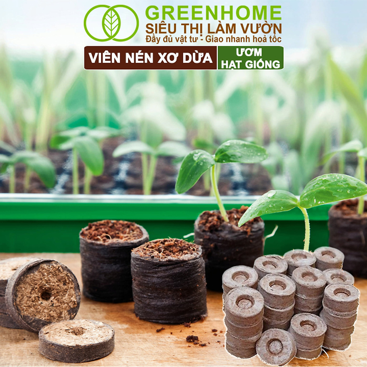 Viên Nén Xơ Dừa Greenhome, Ươm Hạt Giống, Ươm Cây Con Tiện Lợi, Đầy Đủ Dinh Dưỡng, Cây Phát Triển Nhanh