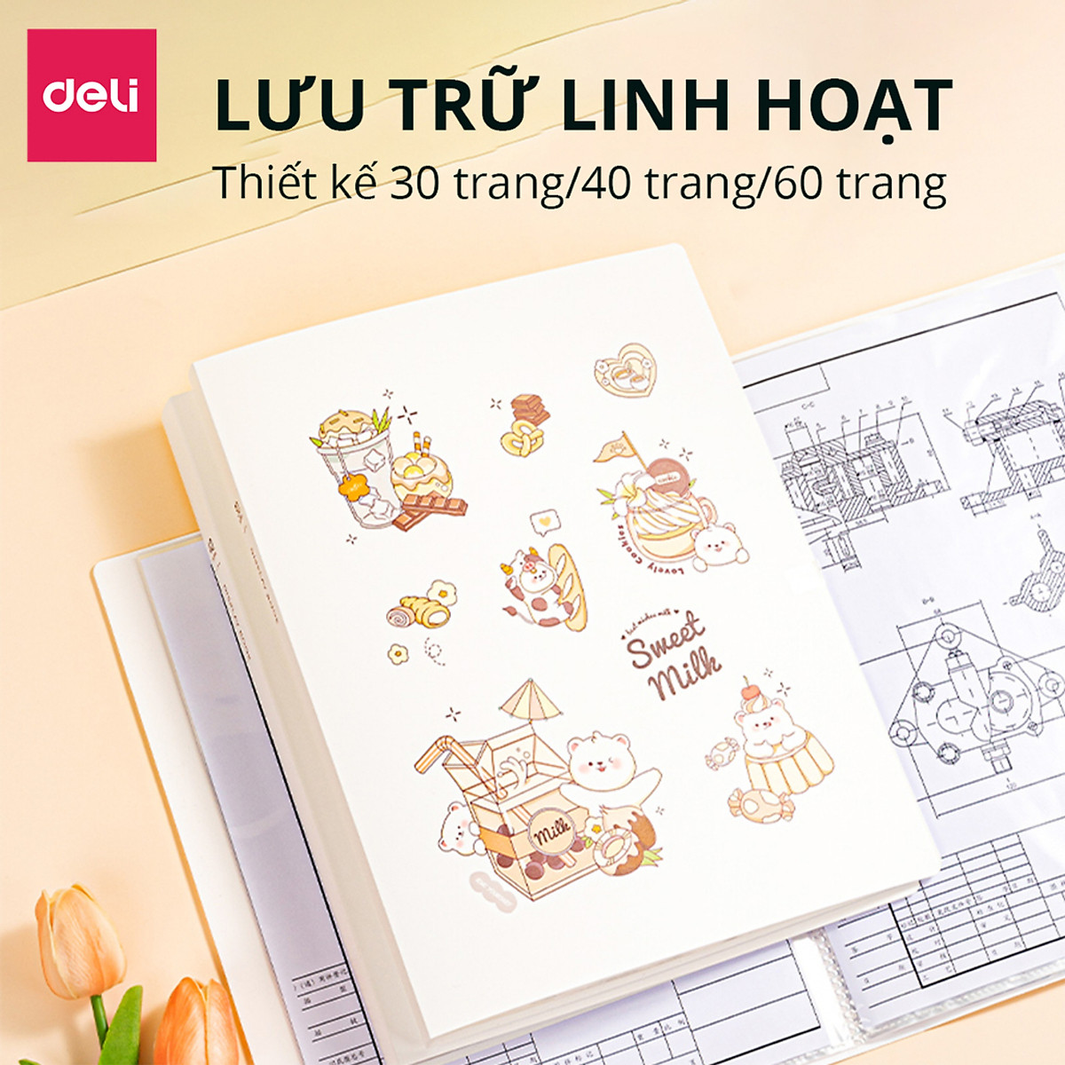 File Lá Đựng Tài Liệu A4 / Túi Tài Liệu Lá A4 30 Lá 40 Lá Màu Pastel Họa Tiết Cute Deli -Lưu Trữ Tài Liệu Chứng Từ Hồ Sơ Phù Hợp Học Sinh Văn Phòng - PQ312