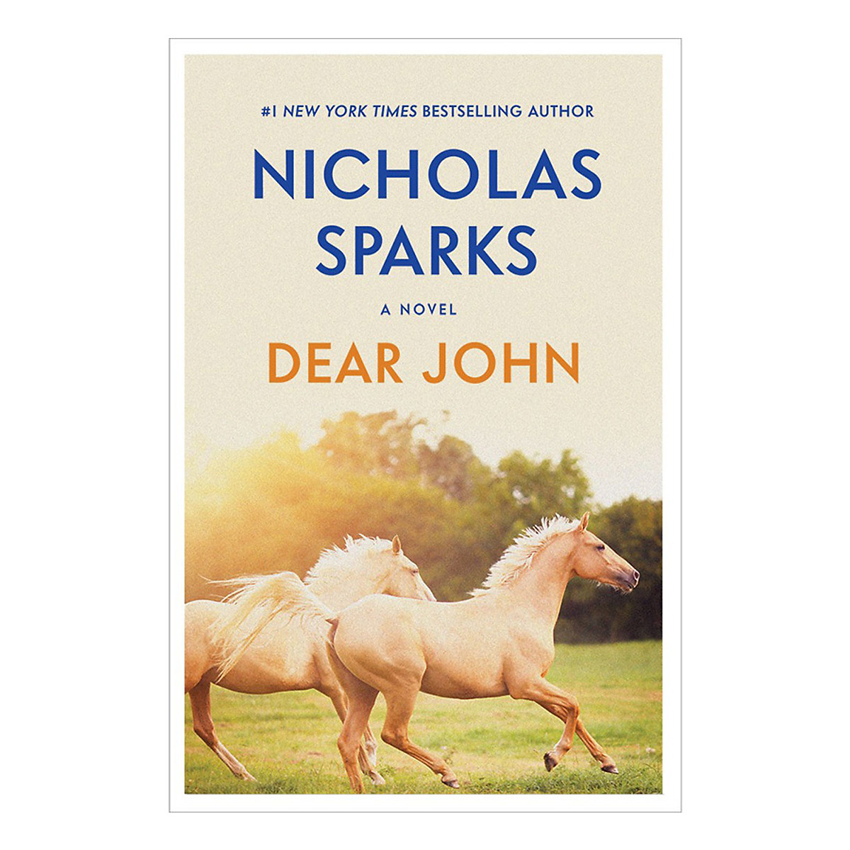 Dear John - New E.