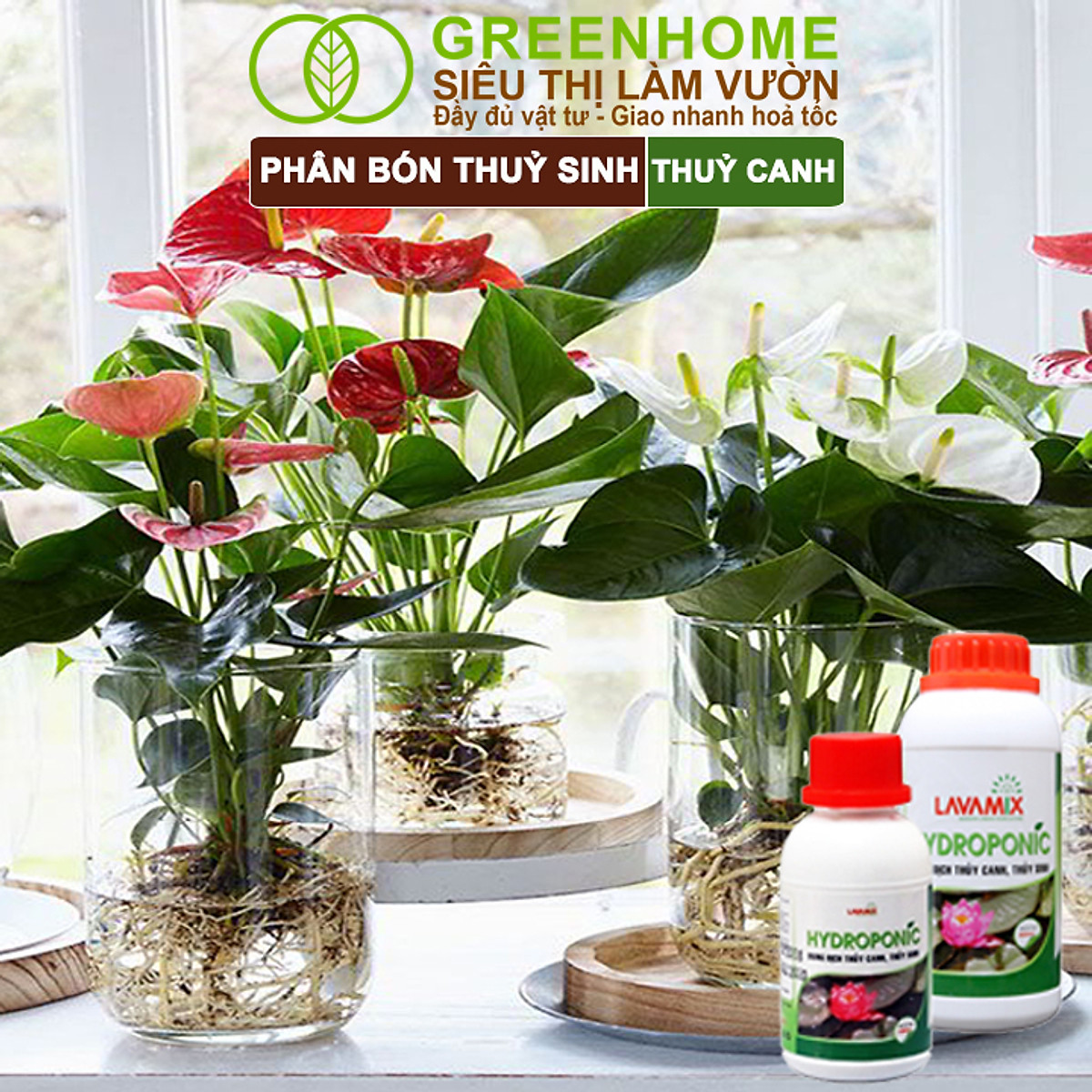 Dung Dịch Thủy Canh Greenhome, Lavamix, Phân Bón Cây Thuỷ Sinh, Hoa Sen, An Toàn Cho Cá, Tép Cảnh