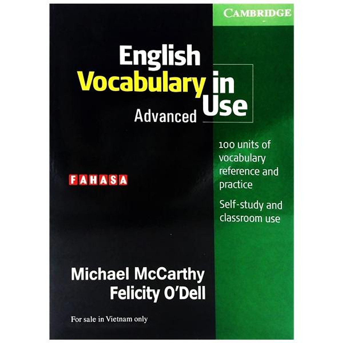 English Vocabulary In Use Advance