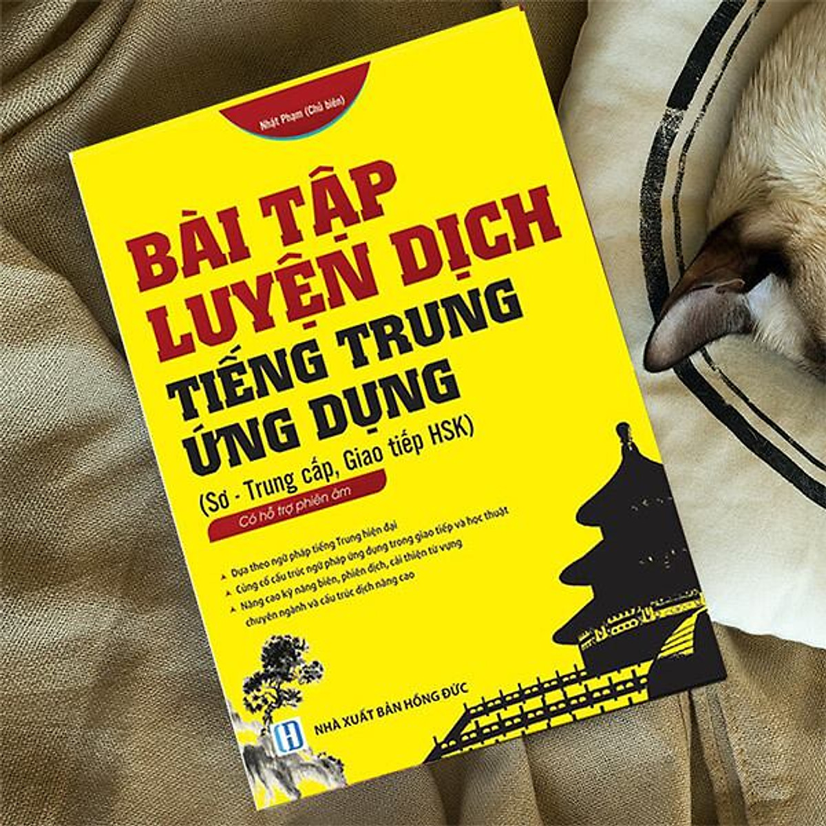 Sách - combo: Ngữ Pháp Hán Ngữ Thực Dụng +Bài tập luyện dịch tiếng Trung ứng dụng (Sơ -Trung cấp, Giao tiếp HSK có mp3 nghe, có đáp án)+DVD tài liệu