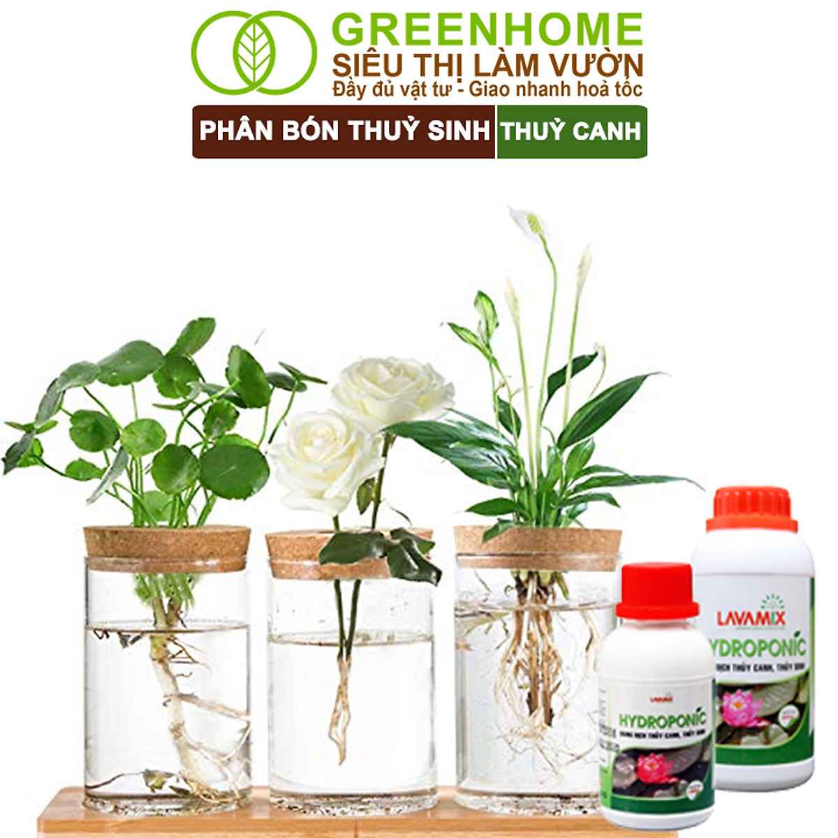 Dung Dịch Thủy Canh Greenhome, Lavamix, Phân Bón Cây Thuỷ Sinh, Hoa Sen, An Toàn Cho Cá, Tép Cảnh