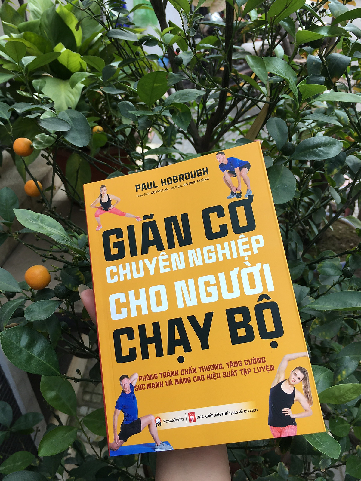 Combo 2 cuốn Giãn cơ chuyên nghiệp cho người chạy bộ + 26 giải chạy marathon