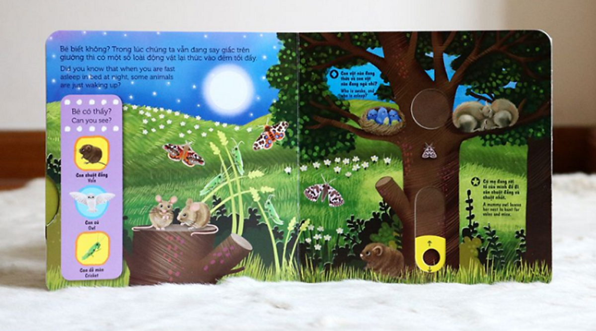 Sách Tương Tác - Sách Chuyển Động - First Explorers - Night Animals - Động Vật Ban Đêm