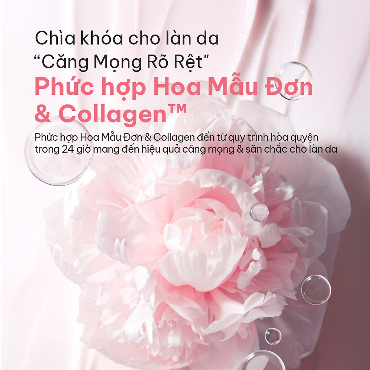 Mặt Nạ Ngủ Laneige Bouncy & Firm Sleeping Mask 60ml tăng cường collagen và làm săn chắc da