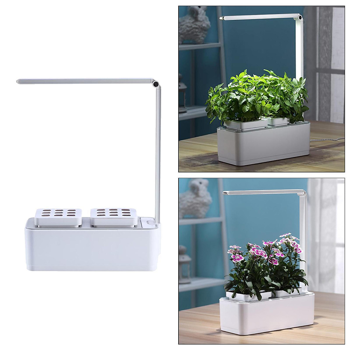 indoor gardening with led lights