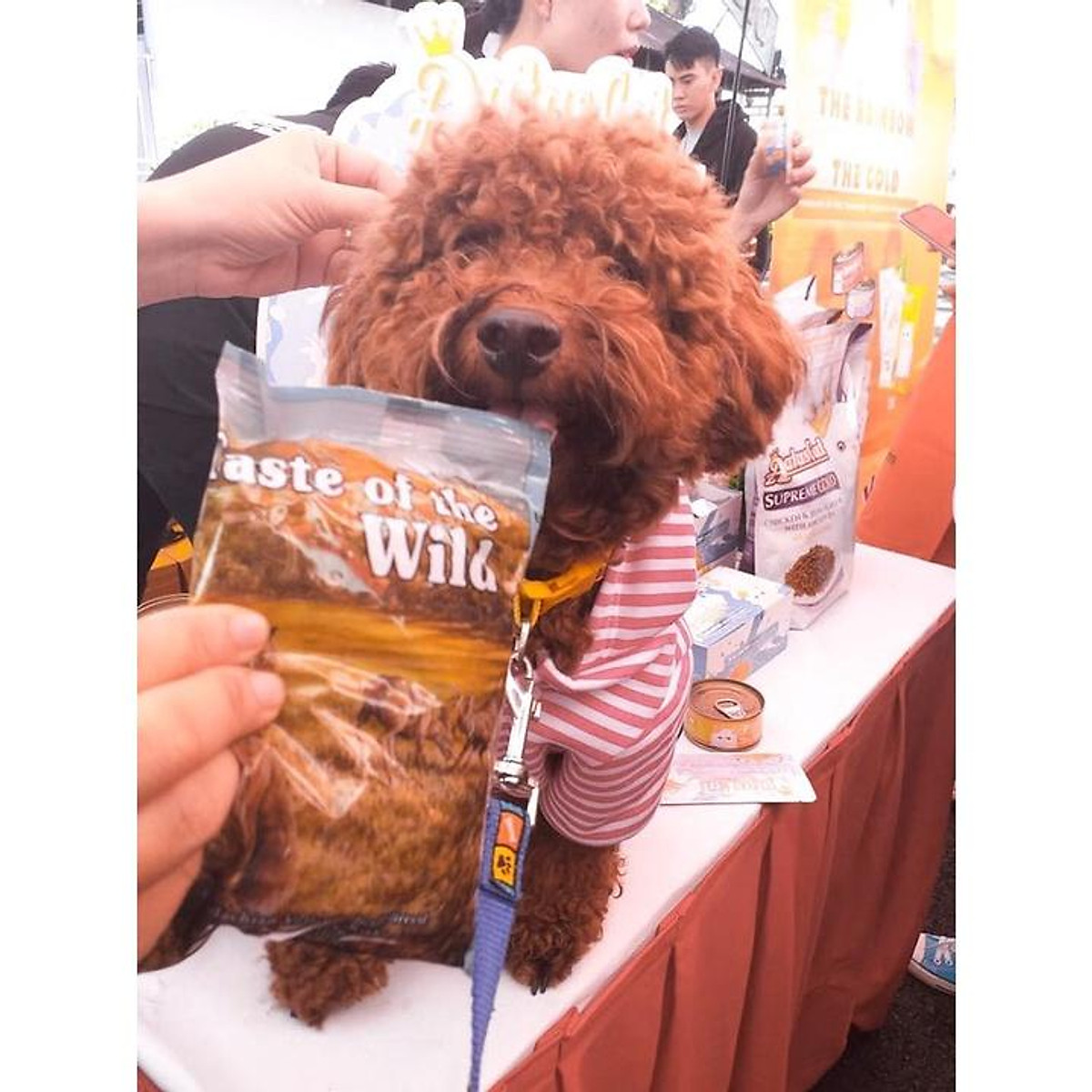 Thức Ăn Cho Chó Poodle Taste Of The Wild Bao 2kg - Appalachian ...