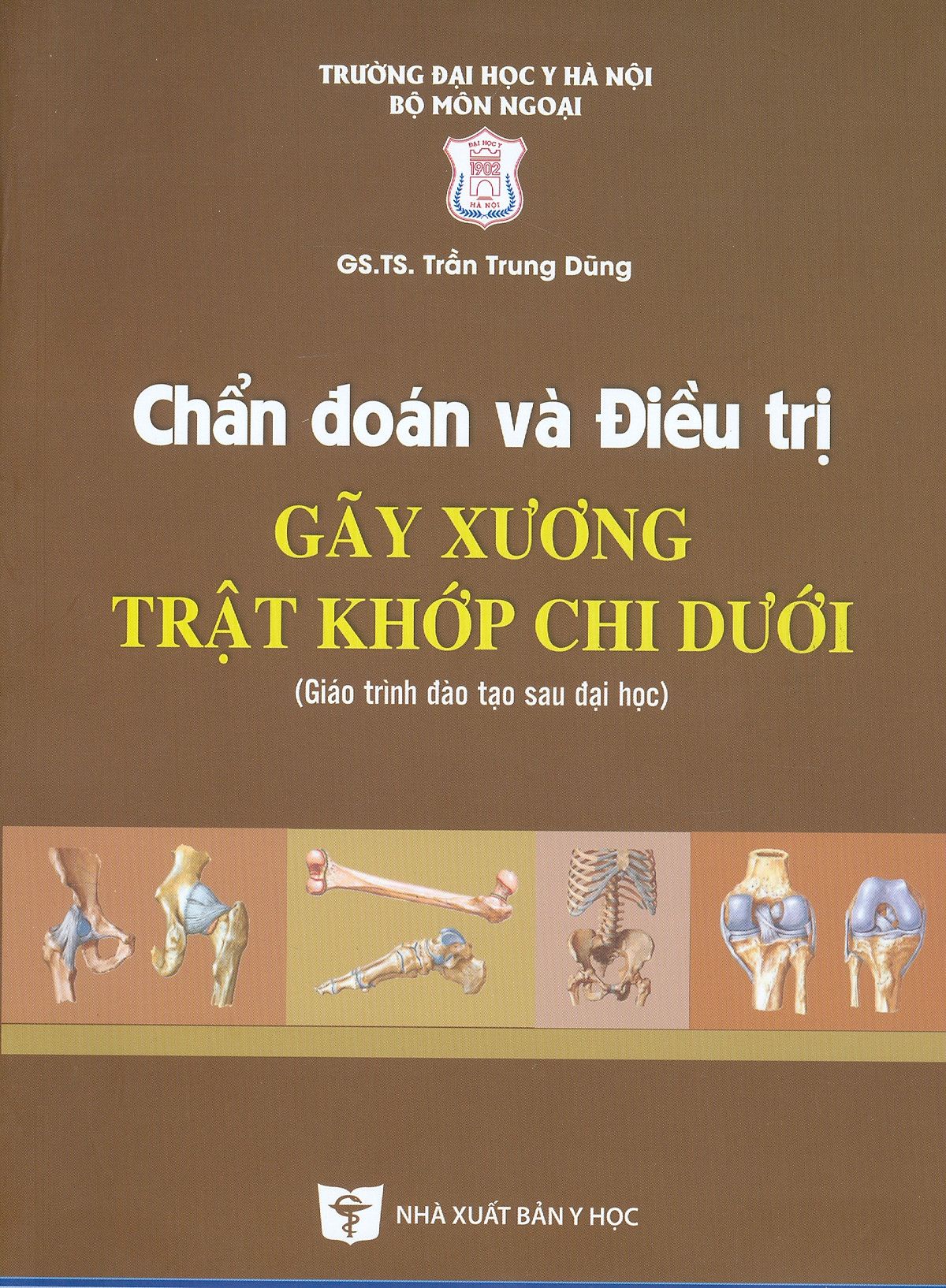 Chẩn Đoán Và Điều Trị Gãy Xương Trật Khớp Chi Dưới (Giáo trình đào tạo sau đại học) - Tái bản năm 2022