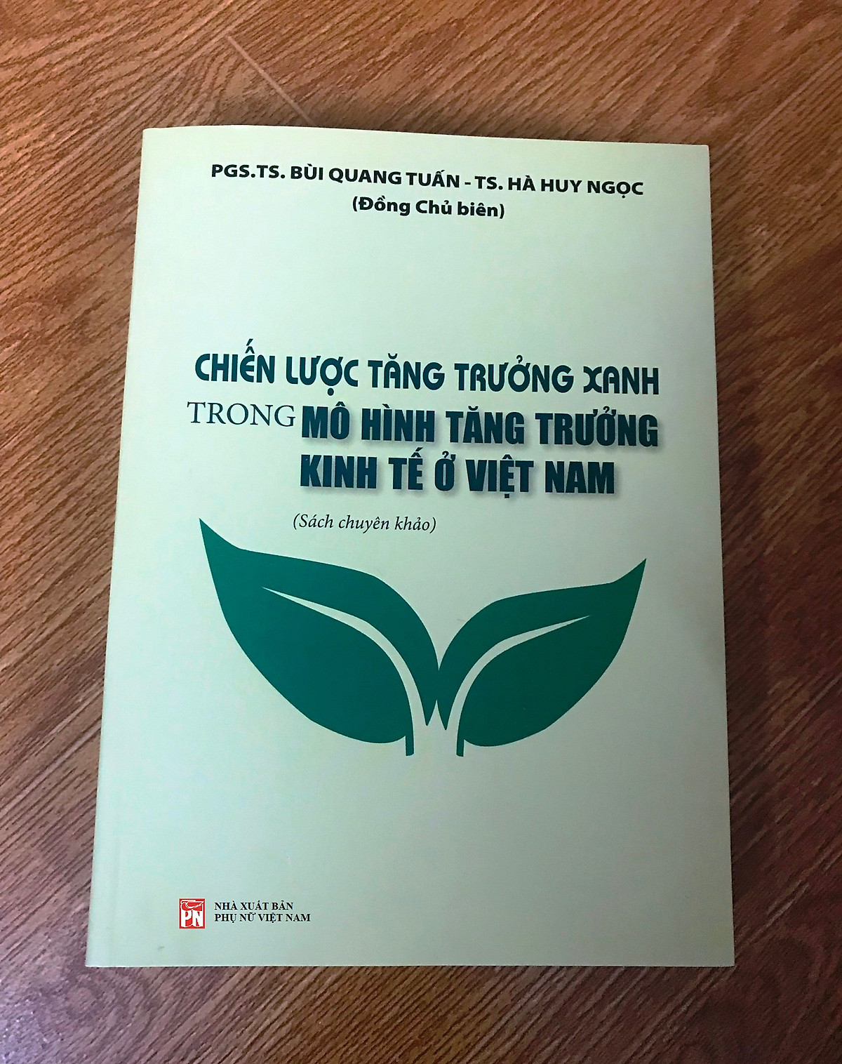 Chiến lược tăng trưởng xanh trong mô hình tăng trưởng kinh tế ở Việt Nam (Sách chuyên khảo)