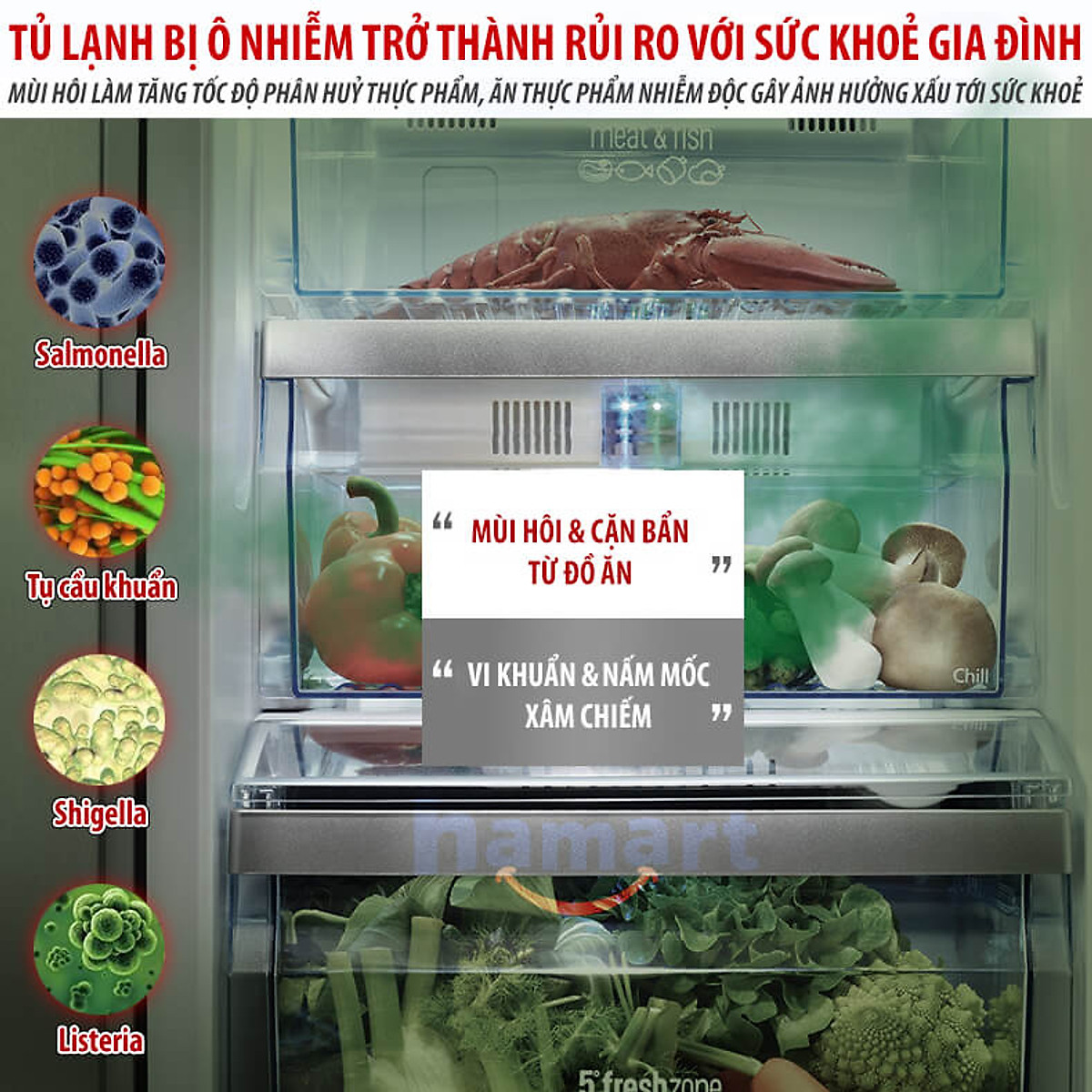 Xịt Khử Mùi Vệ Sinh Tủ Lạnh Chai 500ml Xịt Tạo Bọt Làm Thơm Sạch Tủ Đông Hiệu Quả Tiện Lợi