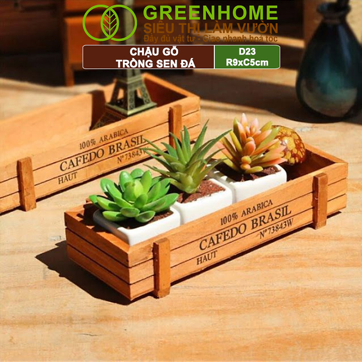 Chậu Gỗ Trồng Sen Đá Greenhome, Cafedo, D23xr9xc5cm, Trang Trí Cây Cảnh Để Bàn, Xương Rồng, Nhiều Màu Để Lựa Chọn