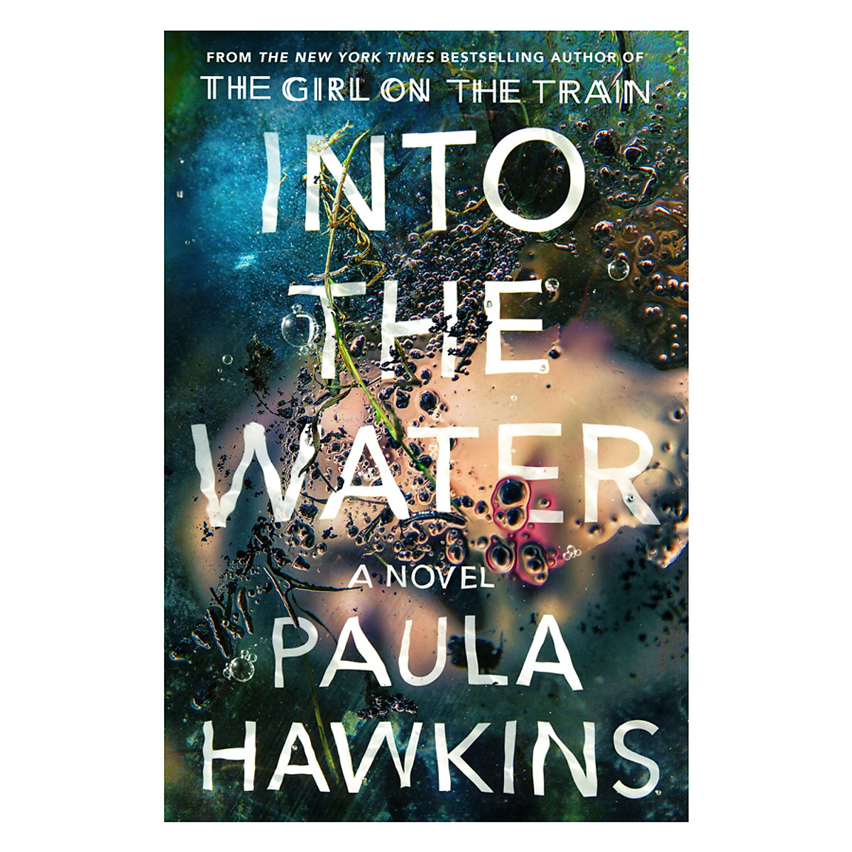 Into The Water: A Novel 