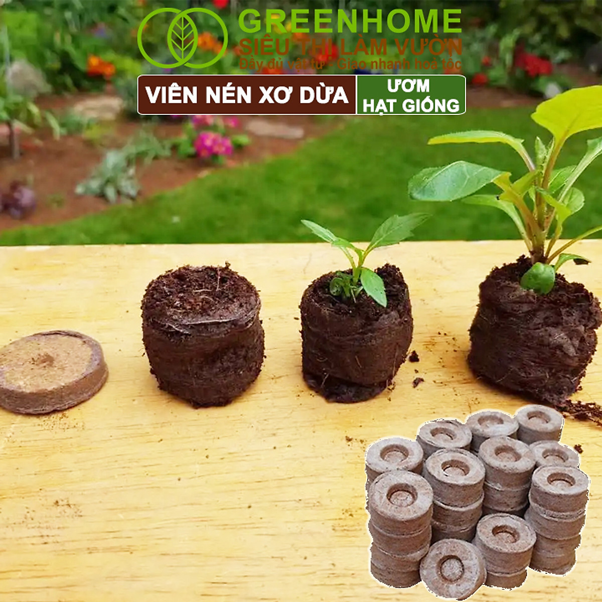 Viên Nén Xơ Dừa Greenhome, Ươm Hạt Giống, Ươm Cây Con Tiện Lợi, Đầy Đủ Dinh Dưỡng, Cây Phát Triển Nhanh