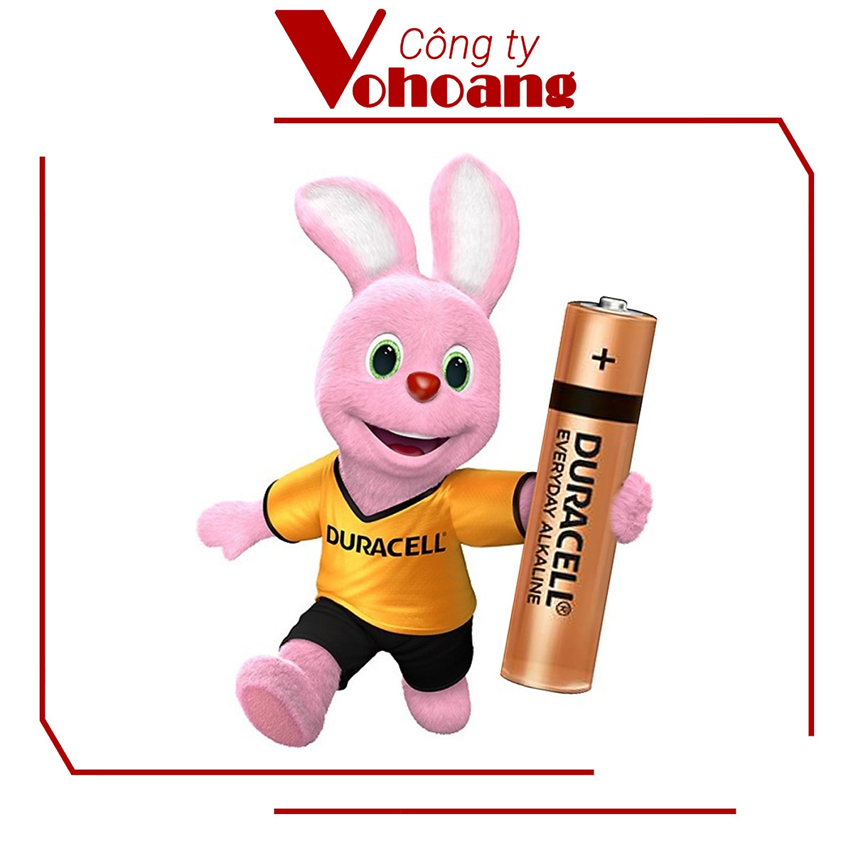 Vỉ 2 VPin AA , Pin AAA DURACELL 1,5V Siêu Bền - Hàng chính hãng