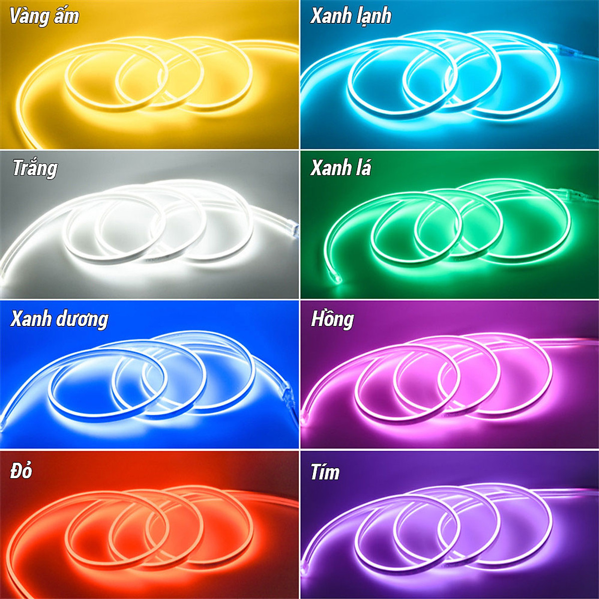 Dây Led Neon Flex 12V Kèm Nguồn Dài 1M/2M/3M/5M Trang Trí Cổ Điển