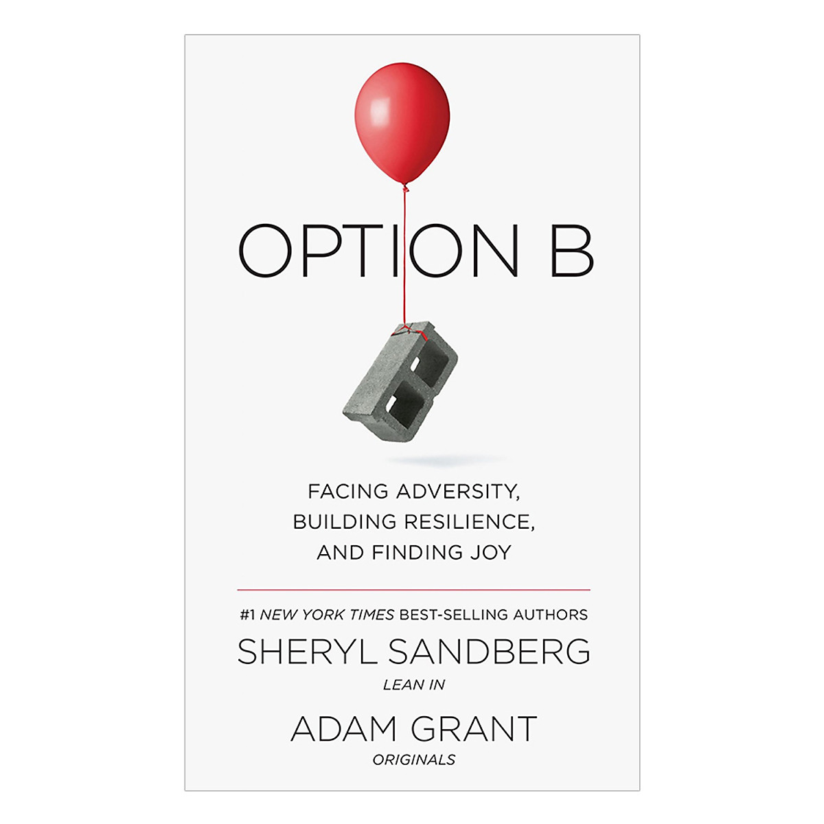 Option B: Facing Adversity, Building Resilience, And Finding Joy