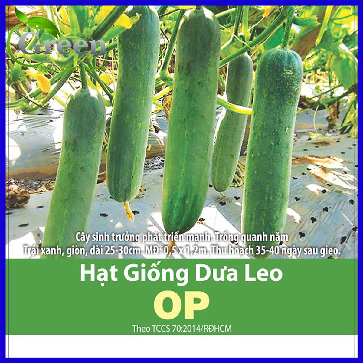 Hạt Giống Dưa Leo OP Giòn Ngon (5 Gam) - Hạt giống