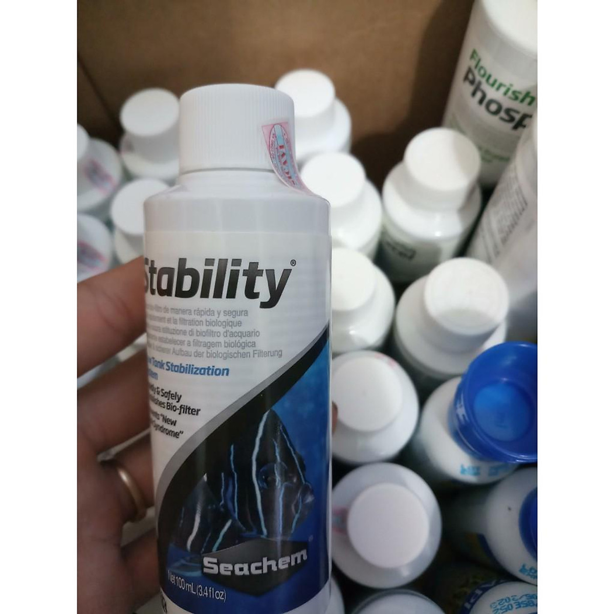 Vi Sinh Seachem Stability