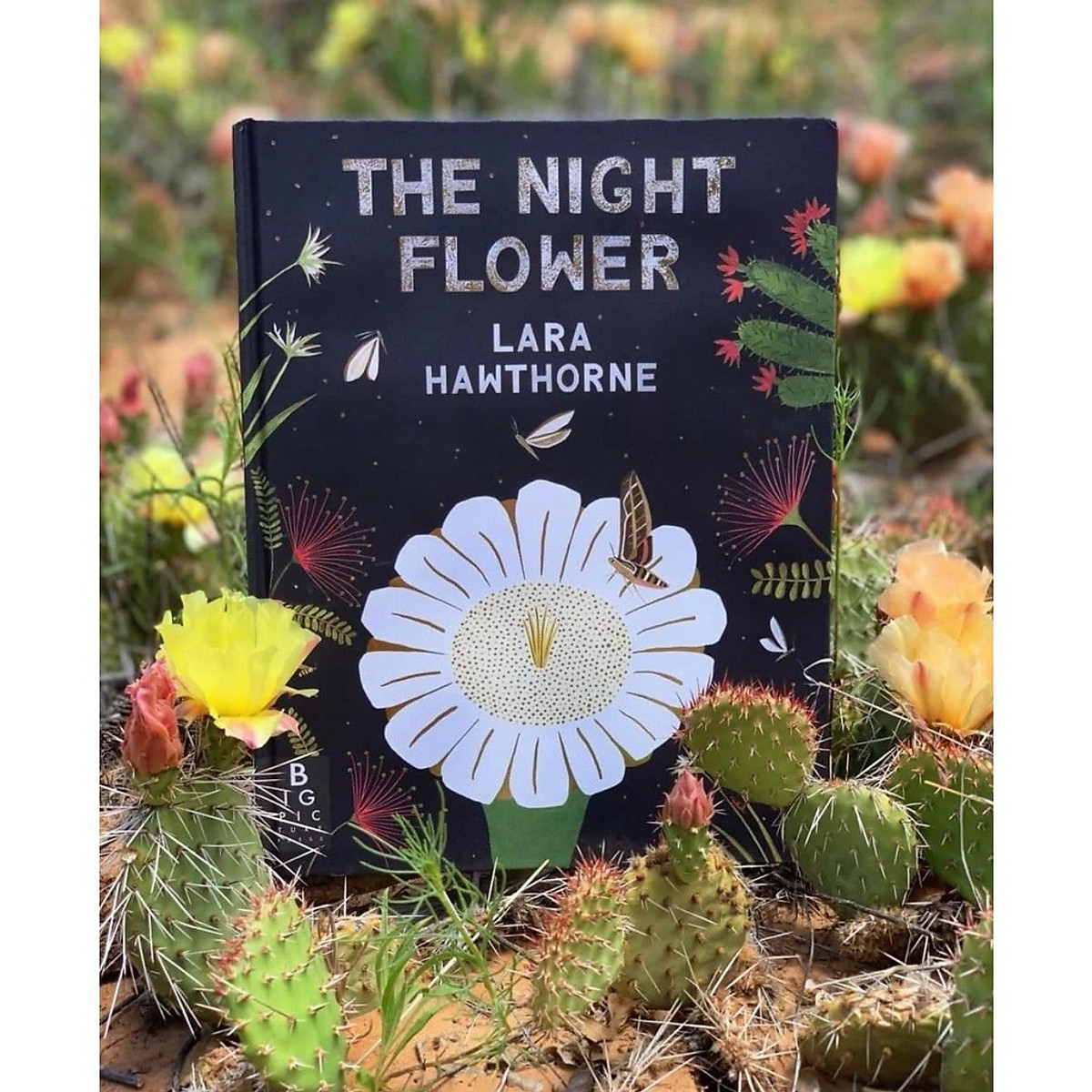 Sách - The Night Flower - Sách Nói Về Loài Hoa Xương Rồng Nở Về Đêm, Cây Xương Rồng Saguaro Trên Sa Mạc Sonoran Ở Arizona - Nhà Sách Giáo Dục Quốc Tế, Bìa Cứng, In Màu