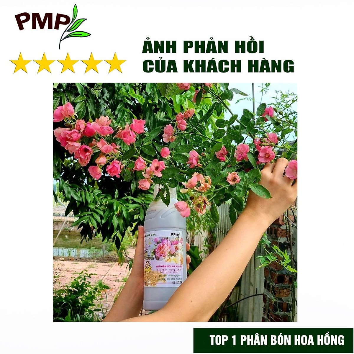 Phân Bón Hoa Hồng SOYMIC PMP Siêu Phân Bón Ủ Vi Sinh Từ Đậu Nành, Trứng, Chuối, Humic, Vi Lượng 1000ml