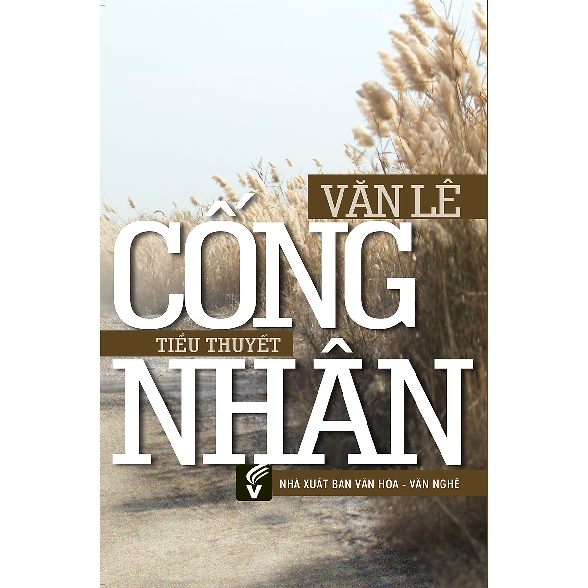 Mua Cống nhân tại VIETNAMBOOK | Tiki