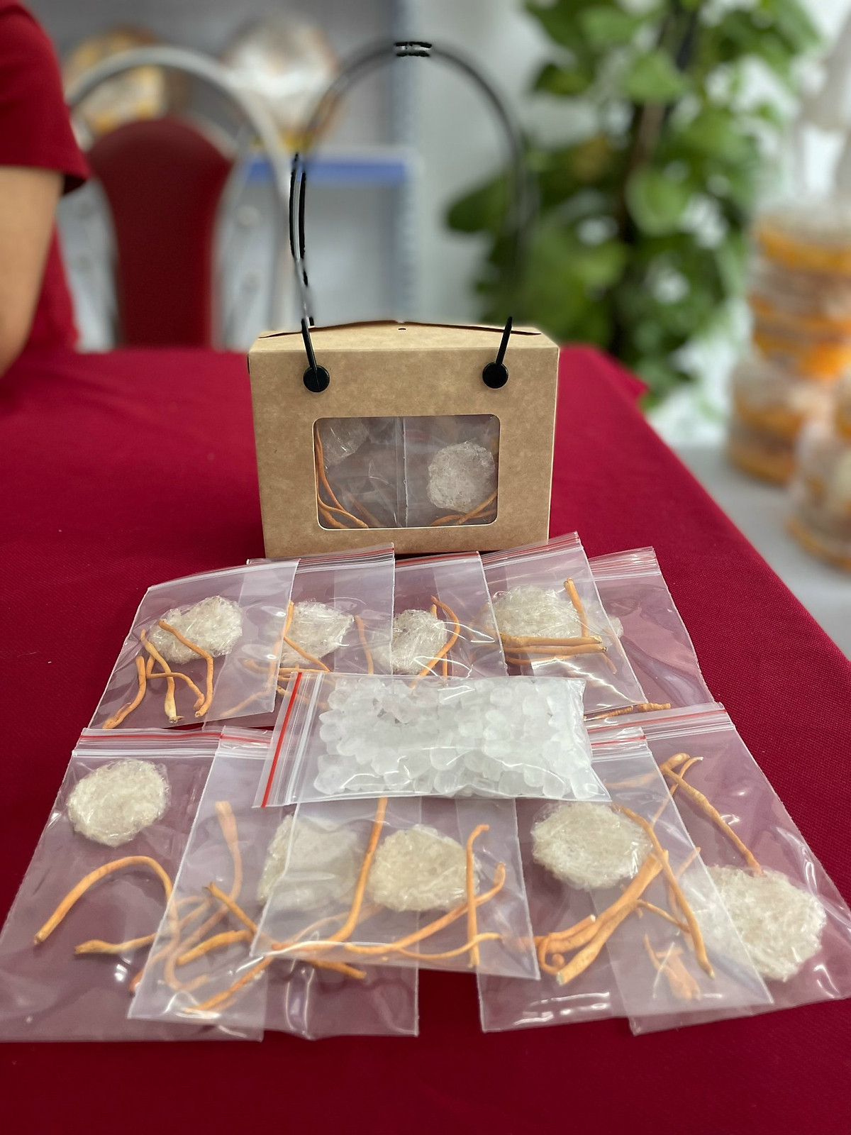 Yến viên BaBy 10 gói chia sẵn Đông trùng Hạ Thảo (tặng kèm 1 gói) - Yến sào cao cấp Đỗ Thị Toán - Tăng cường sức đề kháng -người lớn nhiều năng lượng